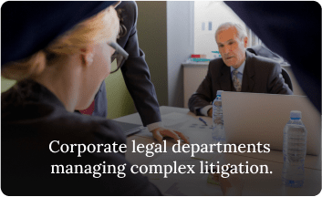 litigation support services